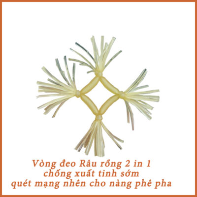 Vòng Đeo Râu rồng quét mạng nhện